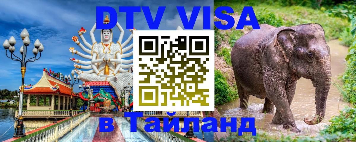 Сколько стоит DTV виза — актуальные цены, оформление даже без документов - Чиангмай 